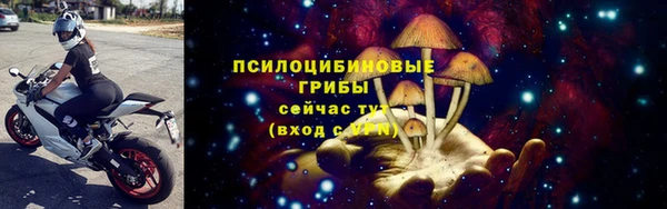 ПСИЛОЦИБИНОВЫЕ ГРИБЫ Балахна