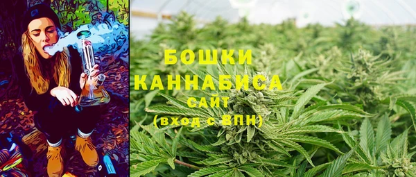 шишки Балабаново