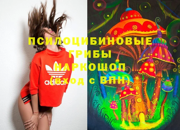 ПСИЛОЦИБИНОВЫЕ ГРИБЫ Балахна