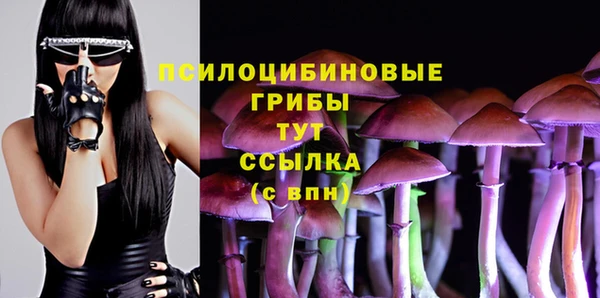 ПСИЛОЦИБИНОВЫЕ ГРИБЫ Балахна